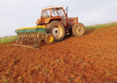 Tractor con sembradora tras un día de siembra